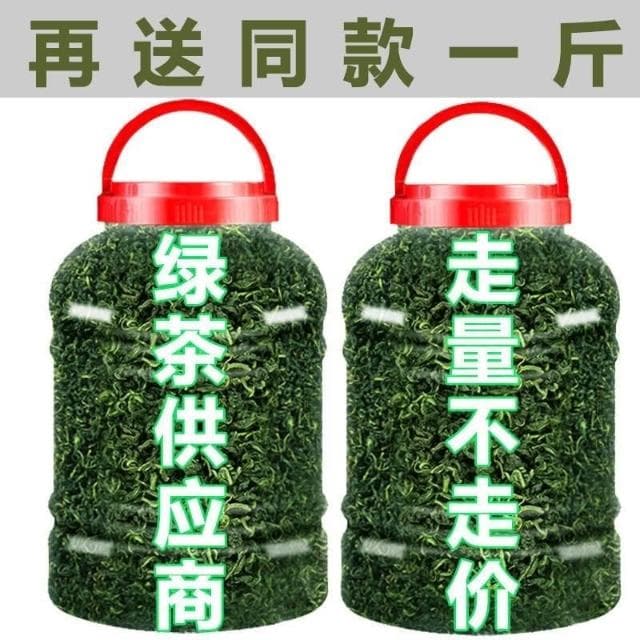 Camelliar 2024新茶葉日照散裝綠茶茶葉 高山雲霧綠茶濃香 炒青綠茶