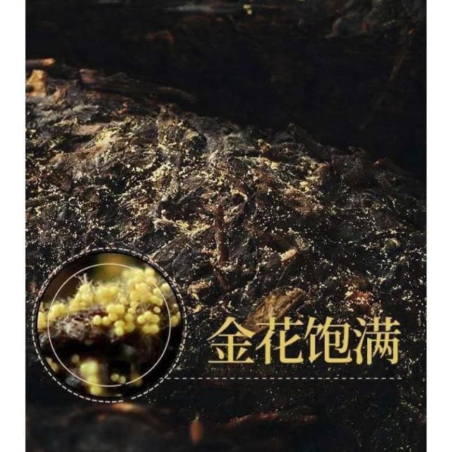 Camelliar1KG  送茶刀  2015年一級金花天茯正宗陳年湖南安化黑茶