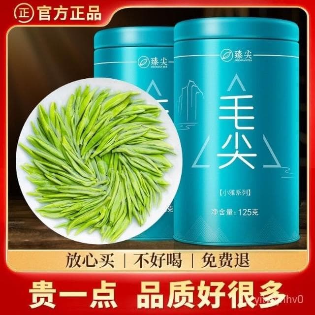 Camelliar 2024新茶上市 毛尖茶葉明前茶特級濃香型毛尖嫩芽茶葉上檔次