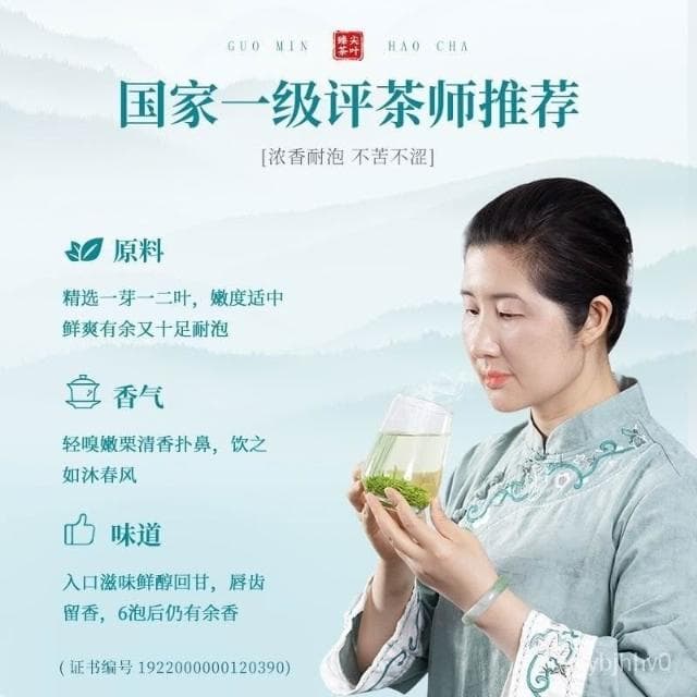 Camelliar 2024新茶上市 毛尖茶葉明前茶特級濃香型毛尖嫩芽茶葉上檔次