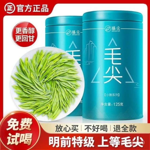 Camelliar 2024新茶上市 毛尖茶葉明前茶特級濃香型毛尖嫩芽茶葉上檔次