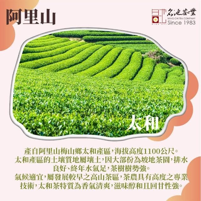 【名池茶業】阿里山金萱手採高山茶葉150gx2盒(共0.5斤)
