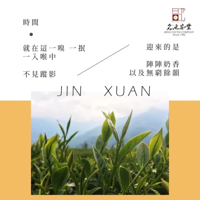 【名池茶業】甘醇奶香高山金萱烏龍茶150gx4包(共1斤)