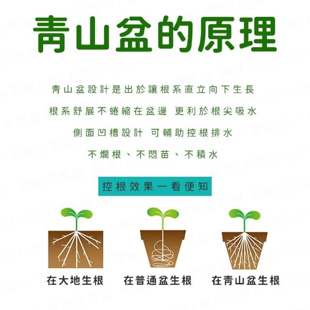 青山盆 吸水花盆 懶人花盆 吸水花盆 透明花盆 水培花盆 懶人盆栽 植物花盆 自動吸水花盆 透明花盆 水培花盆