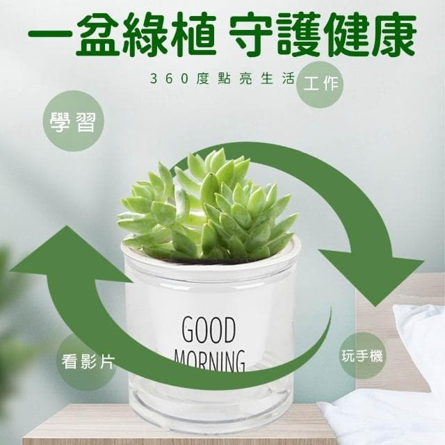 吸水花盆 懶人花盆 吸水花盆 透明花盆 水培花盆 懶人盆栽 植物花盆 自動吸水花盆 透明花盆 水培花盆