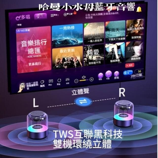 哈曼 TWS藍牙音響 內贈3000首歌