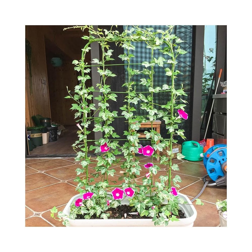 爬藤植物花支架牽牛花網格造型花屏架子陽臺盆栽綠植月季攀援牽引