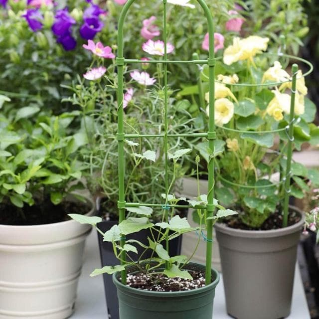 爬藤植物花支架牽牛花網格造型花屏架子陽臺盆栽綠植月季攀援牽引
