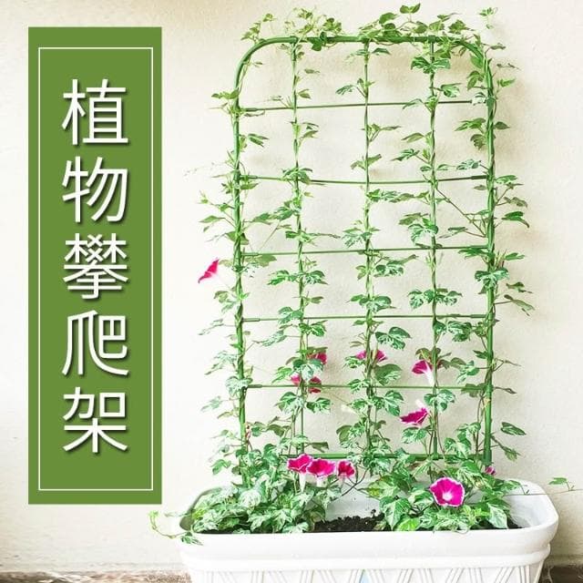 爬藤植物花支架牽牛花網格造型花屏架子陽臺盆栽綠植月季攀援牽引