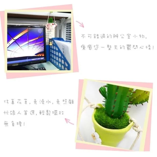 花語風鈴休閒盆栽 仙人掌風鈴掛飾 小盆栽 療癒系 掛飾 吊飾 飾品 門飾 裝飾 田園植物 多肉風鈴 陶瓷盆栽 居家 造景