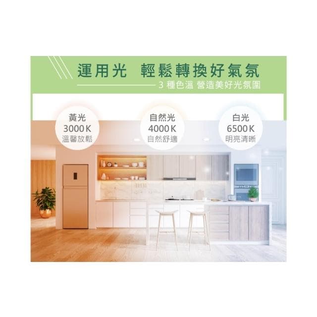 【DanceLight 舞光】舞光 節能標章 節能燈泡 環標 節標 省電燈泡