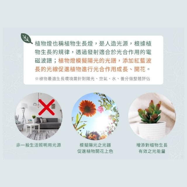 【DanceLight 舞光】附發票 舞光LED 紅藍光譜植物PAR燈 植物專用 室內專用 LED-PAR3824RB 植物燈 杯燈 E27 植物燈