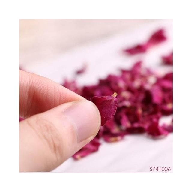 Camelliar 新貨高品質 玫瑰花瓣 平陰玫瑰花瓣食用玫瑰乾花瓣玫瑰花茶 花果茶500G