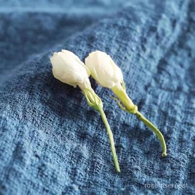 求求TW     【女人三寶茶】玫瑰花菊花茉莉花苞茶組閤罐裝胎菊玫瑰花花茶茶葉