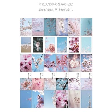 【德德小品集】明信片 櫻色飛舞時 紀念 復古 郵寄 禮物 旅遊 回憶 照片 收藏 愛 文青 信的戀人 信 卡片 精緻 裝飾房間