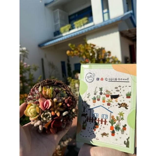 多肉花圈材料包/多肉植物/組盆/花圈
