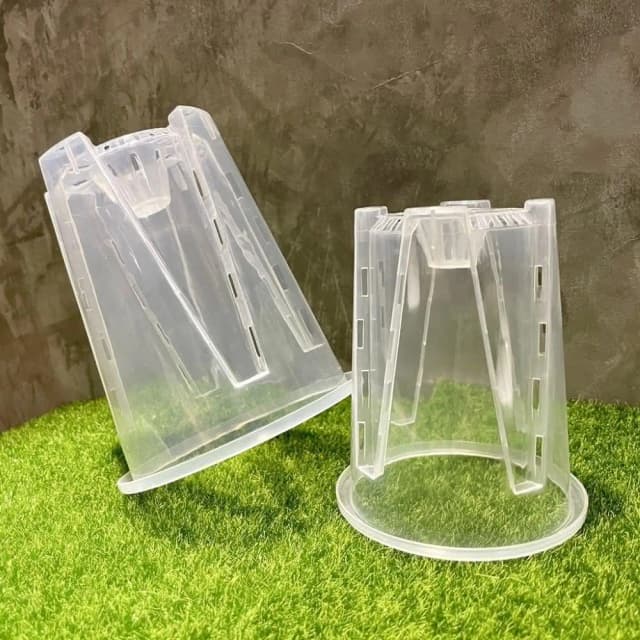 《斑啾植選》內建空氣柱透明高腳盆｜14cm(控根盆｜觀葉專用盆｜蘭花盆｜觀葉植物｜斑葉｜龜背芋｜室內植物｜盆栽)