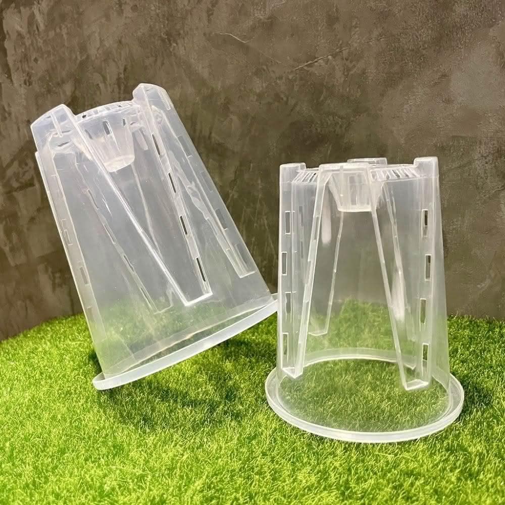 《斑啾植選》內建空氣柱透明高腳盆｜14cm(控根盆｜觀葉專用盆｜蘭花盆｜觀葉植物｜斑葉｜龜背芋｜室內植物｜盆栽)