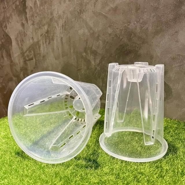 《斑啾植選》內建空氣柱透明高腳盆｜14cm(控根盆｜觀葉專用盆｜蘭花盆｜觀葉植物｜斑葉｜龜背芋｜室內植物｜盆栽)