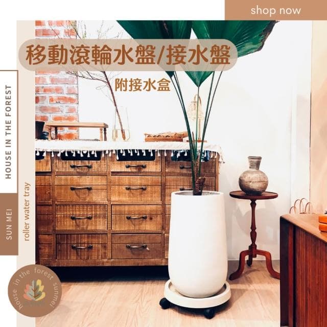 底盤 移動底盤 滾輪底盤 移動式接水盤水盤 接水盤 盆栽 盆栽容器 盆栽底盤 植物底座 花架