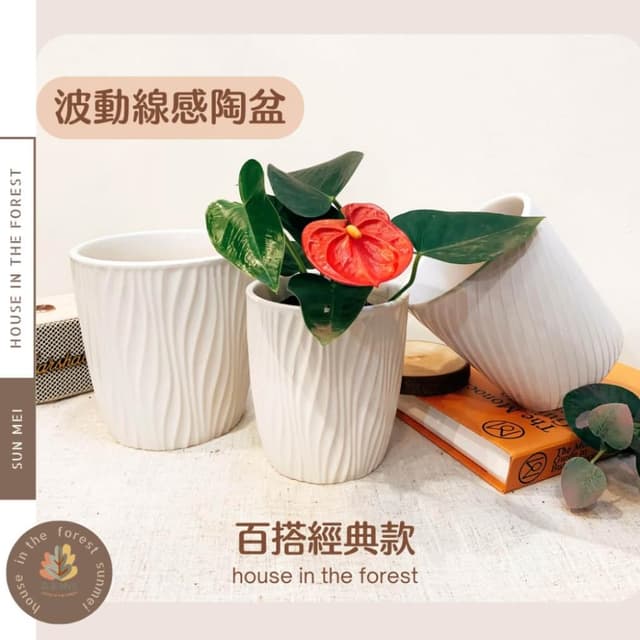陶盆 波動流感陶盆 花器 盆器 多肉植物盆 觀葉植物盆