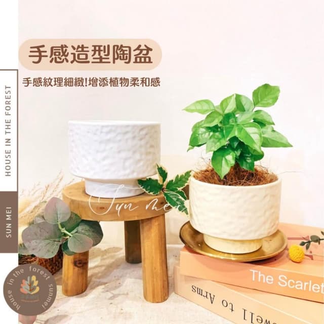 陶盆 手感造型陶盆 花器 花盆 盆器 多巴胺 觀葉植物