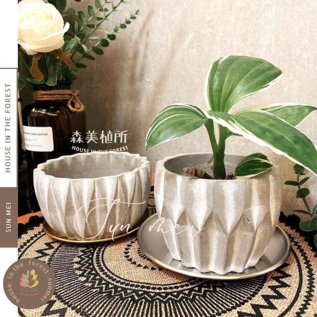 水泥盆 水泥深邃立體盆 水泥花盆 盆器 花盆 盆栽 花器 植物