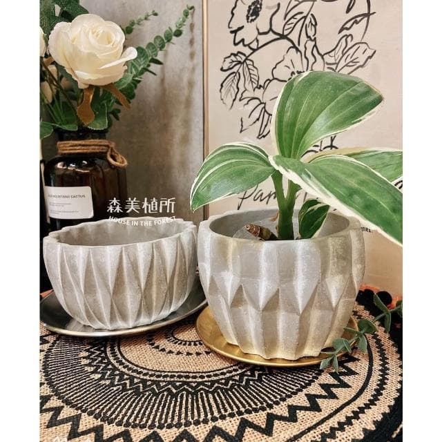 水泥盆 水泥深邃立體盆 水泥花盆 盆器 花盆 盆栽 花器 植物