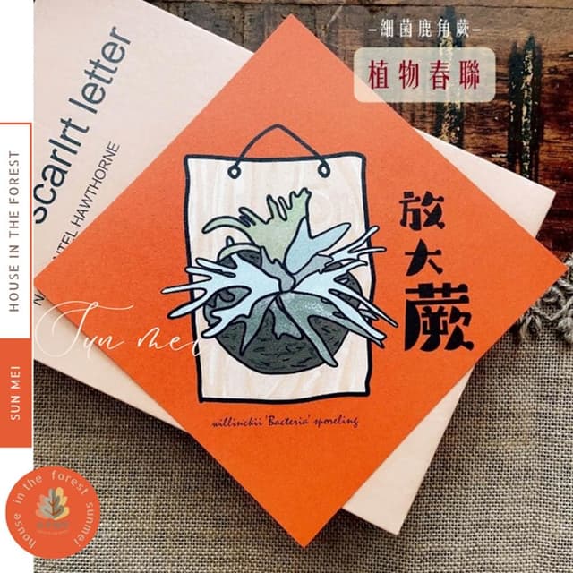春聯 創意春聯 植物春聯 觀葉春聯 斗方手繪春聯 文創春聯 招財 開運植栽