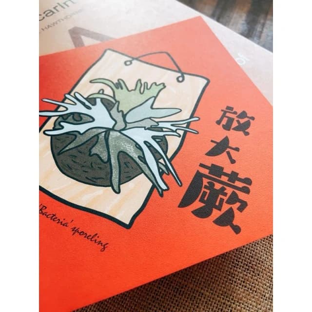春聯 創意春聯 植物春聯 觀葉春聯 斗方手繪春聯 文創春聯 招財 開運植栽