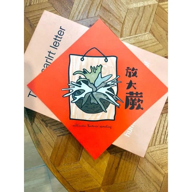 春聯 創意春聯 植物春聯 觀葉春聯 斗方手繪春聯 文創春聯 招財 開運植栽