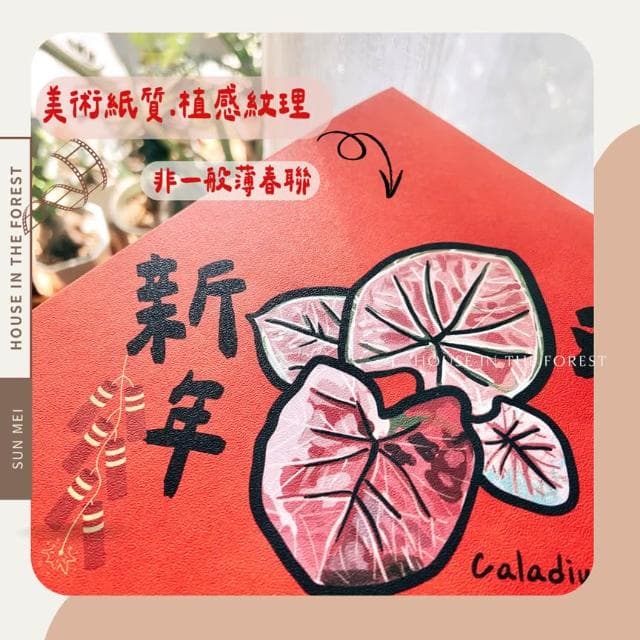 春聯 創意春聯 植物春聯 觀葉春聯 斗方手繪春聯 文創春聯 招財 開運植栽