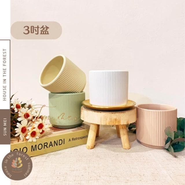 陶盆 多巴胺線條陶盆 花盆 花器 花架 花瓶 觀葉植物 多肉植物 植栽 植物 室內植栽 辦公室植栽