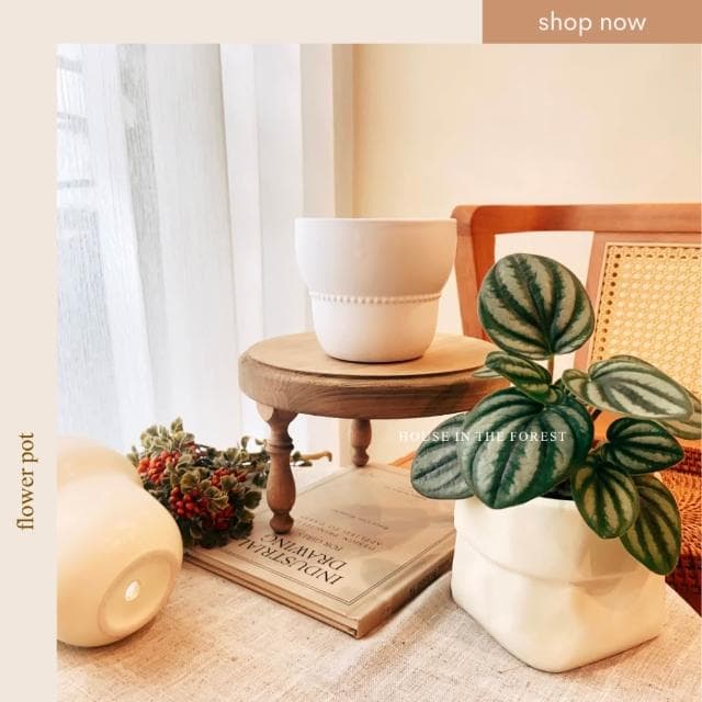 陶盆 韓系造型陶盆 花盆 花器 陶盆 花架 花瓶 觀葉植物 多肉植物 植栽 植物 室內植栽 辦公室植栽