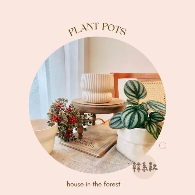 陶盆 韓系造型陶盆 花盆 花器 陶盆 花架 花瓶 觀葉植物 多肉植物 植栽 植物 室內植栽 辦公室植栽