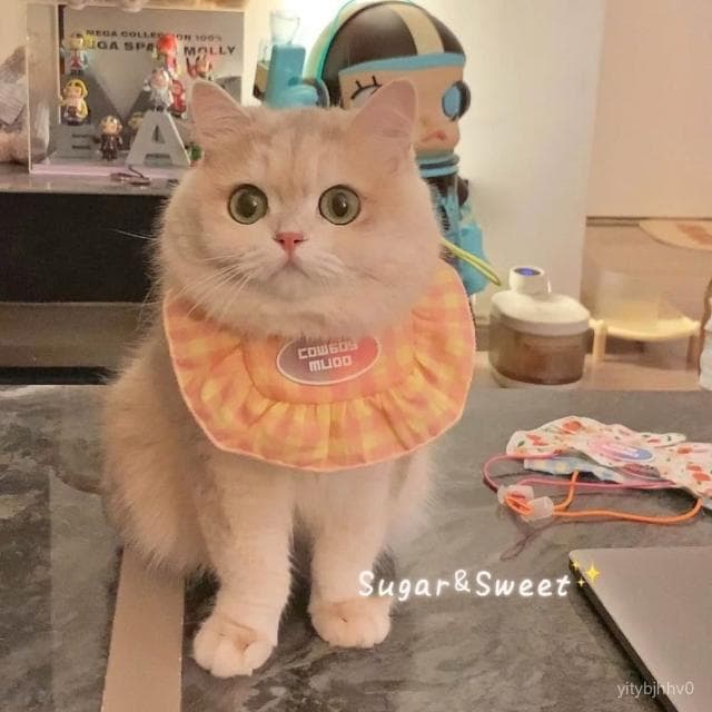 貓咪圍脖口水巾寵物圍兜項圈小狗狗領結脖子裝飾品圍巾夏季貓圍領