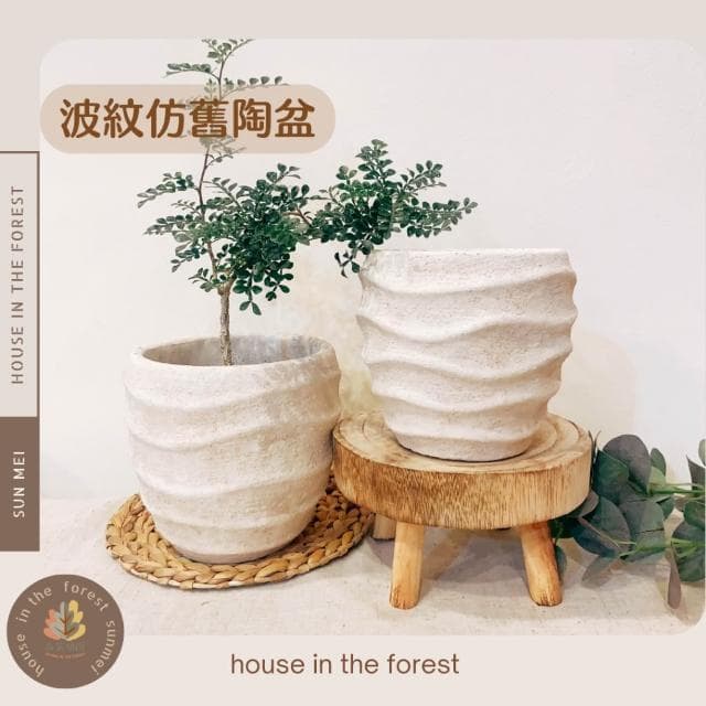 陶盆 波紋仿舊陶盆 花盆 花器 盆器 花瓶 觀葉植物 多肉植物 塊根植物 居家植栽 辦公室植栽