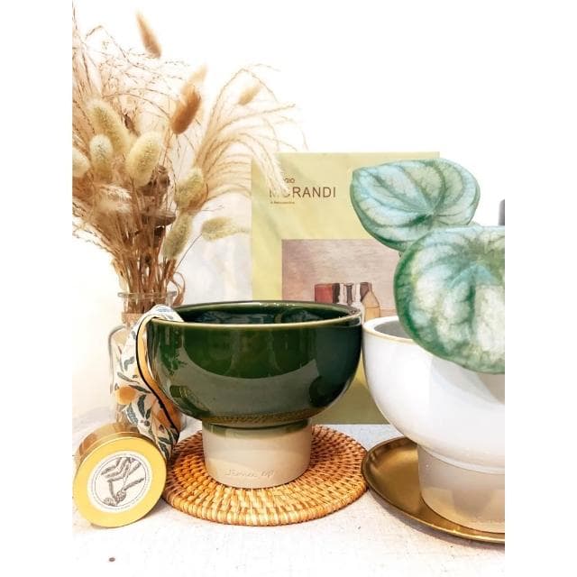 陶盆  缽感造型高腳陶盆 陶器 花器 花盆 盆器 花器 植物 植栽 塊根 仙人掌 觀葉 陶燒 居家布置