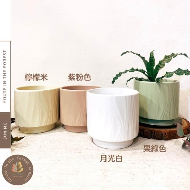 陶盆 線條陶盆 花盆 花器 盆器 多肉植物 觀葉植物 花禮 辦公室植栽 多巴胺 居家裝飾 花瓶 陶藝 室內植栽