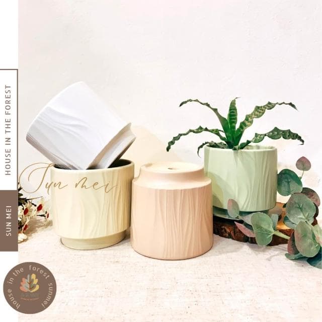 陶盆 線條陶盆 花盆 花器 盆器 多肉植物 觀葉植物 花禮 辦公室植栽 多巴胺 居家裝飾 花瓶 陶藝 室內植栽