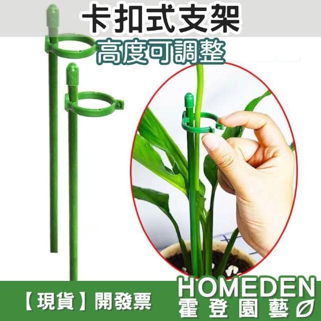 卡扣式支架 植物支架 爬藤支架 植物支撐架 盆栽支架 支撐桿 固定桿 花架 蘭花夾【HOMEDEN霍登園藝】