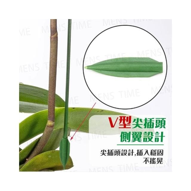 台灣現貨 ️10入 開立發票 植物支撐桿 植物支架 園藝工具 爬藤支架 植物支撐 植物支撐架 園藝支架 盆栽支架