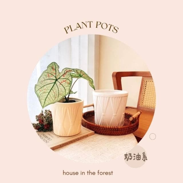 陶盆 奶油風格陶盆 簡約素燒花器 觀葉植物專用 辦公室植栽首選花盆