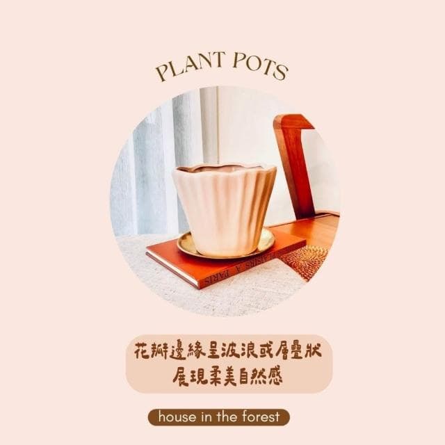 陶盆 立體花瓣花盆 透氣陶土材質 觀葉植物推薦 防積水花形盆 花器 浪漫植栽容器