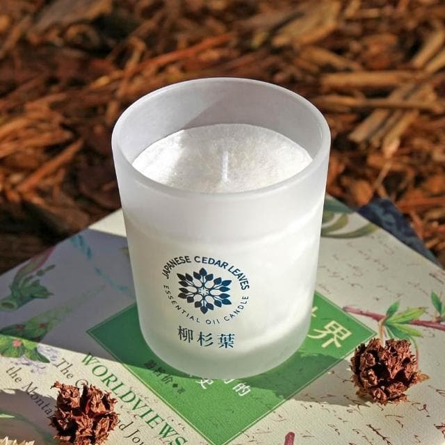 FUSSEN福森永續｜柳杉葉單方精油香氛蠟燭90g / 140g｜融蠟專用｜MIT台灣製