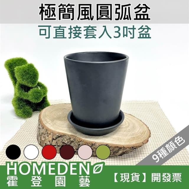 極簡風圓弧盆 3吋盆適用 圓盆 花盆 花器 多肉植物 辦公室盆栽 居家盆栽【HOMEDEN霍登園藝】