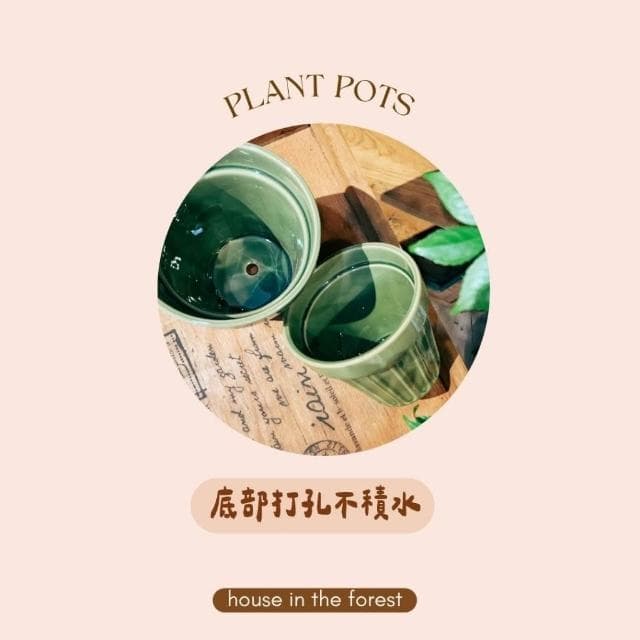 陶盆 甜筒造型陶盆 莫蘭迪色系 花盆 花器 陶盆 花架 花瓶 觀葉植物 多肉植物 植栽 植物