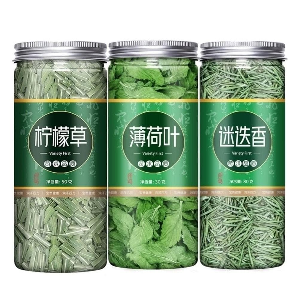 新貨薄荷葉新鮮食用迷迭香檸檬草真材實料罐裝