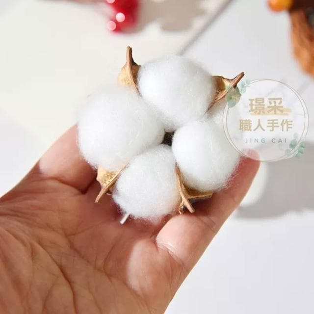 【璟采職人】乾燥棉花 棉花 棉花頭 永生花 乾燥花材 果實 聖誕裝飾 聖誕配件 聖誕節 聖誕樹 聖誕佈置 藤圈配件 禮物