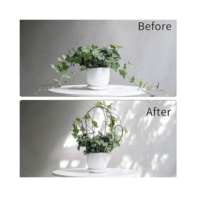 《斑啾植選》造型攀爬架-花園系列(造型花架｜山烏龜架｜金屬支架｜綠蘿支架｜盆栽用支架｜植物攀爬支架)